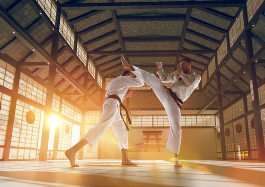 Martial Arts Training